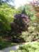 dscn6054_small.jpg