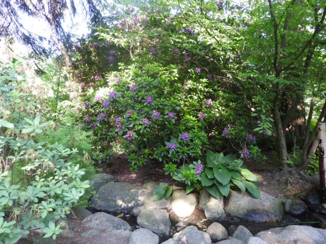 dscn6057.jpg