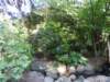 dscn6057_small.jpg