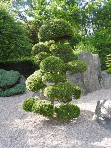 dscn6060.jpg