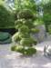 dscn6060_small.jpg