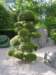 dscn6061_small.jpg