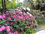 IMG 20190516 122840