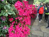 DSC00026