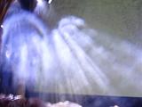 DSC00135
